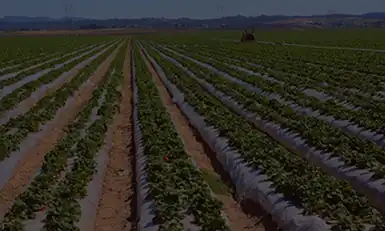 AGRI-PLASTICS USA 2026