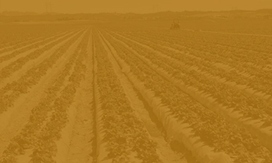 AGRI-PLASTICS USA 2026