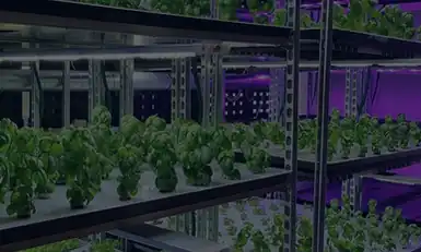 Vertical Farming Show USA 2026