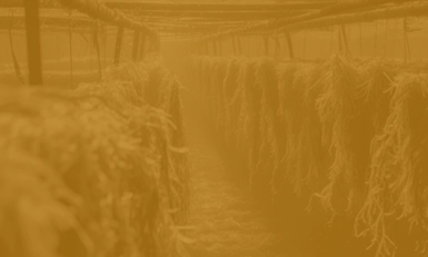 AQUA-CROPS USA 2026